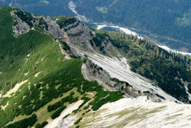 Latschenrücken zwischen Schwarzenköpfel und Kreuzspitze
