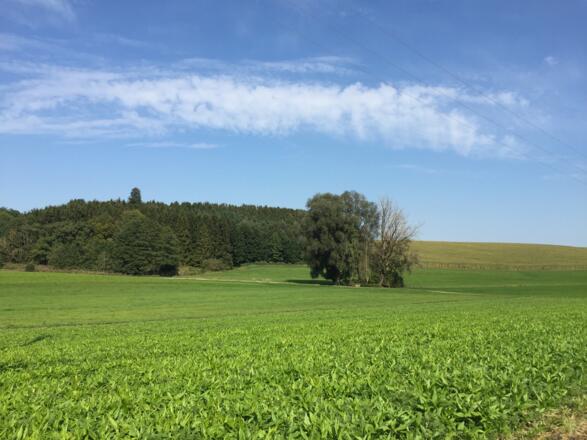 Deisenhofen Richtung Rottbach