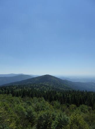 Blick vom Hirschenstein auf den Rauhen Kulm