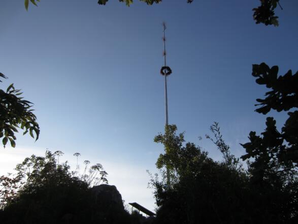Maibaum am Gipfel des Kleinen Barmstein