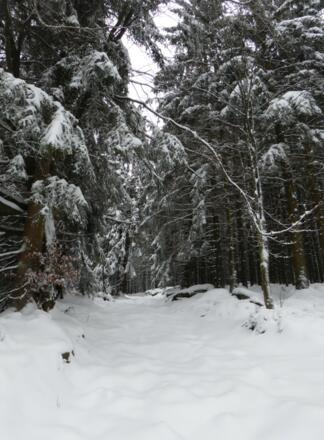 unberührter Winterwanderweg
