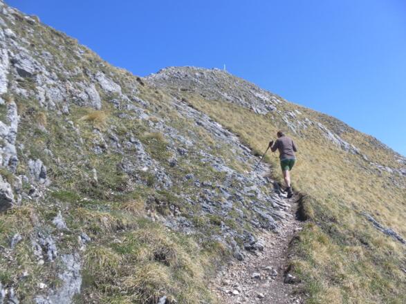 am Purtschellersteig