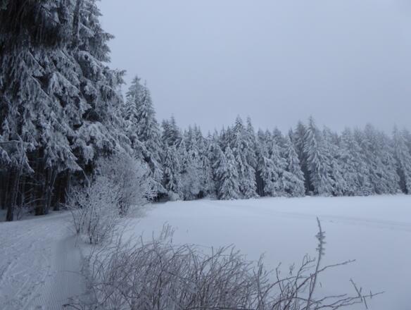 schöne Winterlandschaft am Anfang der Tour