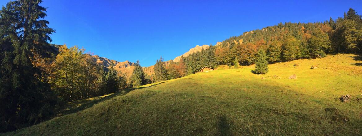Zwischen Mösle- und Nickenalpe