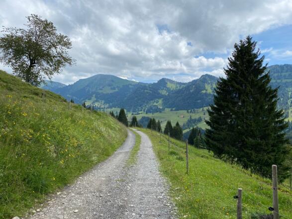 Von Lanzenbach zum Imberg