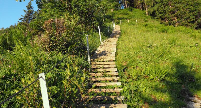 lange Stiege zum Purtschellerhaus ab 1430m