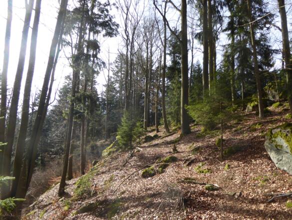 schöne Pfad am Berggrat entlang