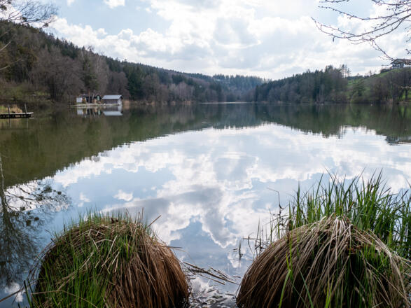 der Lauser Weiher bei Unterlaus