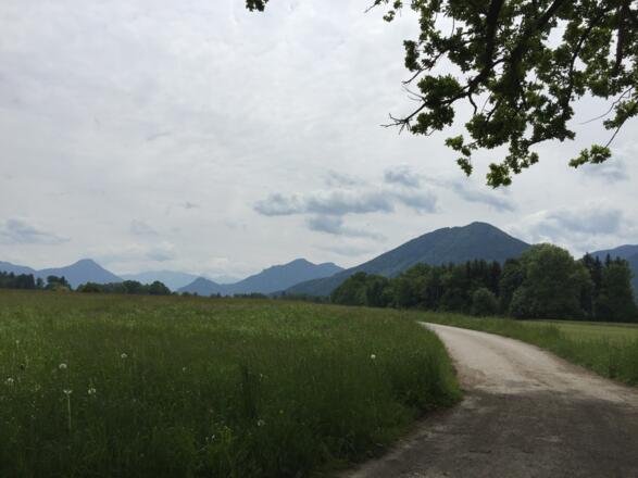 Von den Sterntaler Filzen Richtung Kleinholzhausen