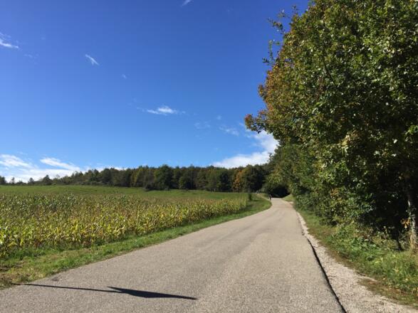 Monatshauser Straße von Tutzing