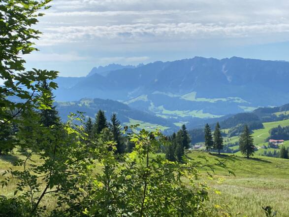 Blick Richtung Kaisergebirge