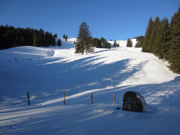 Gedenkstein nach dem Gatter - die Stoißer Alm ist von den Bäumen verdeckt