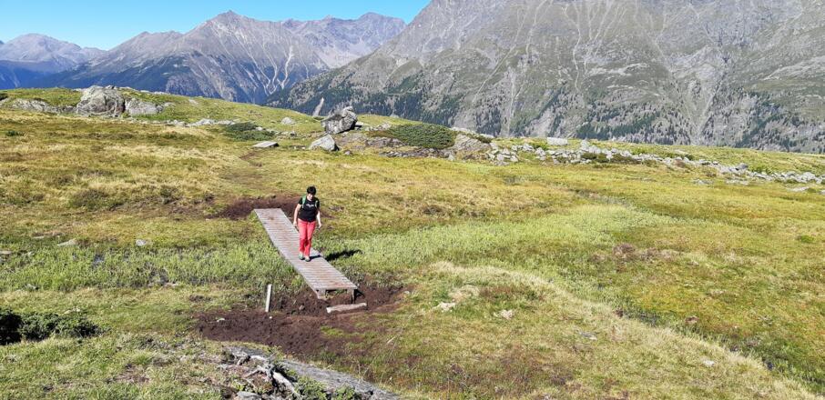 Der Weg durch die mit Mooren und kleinen Wasserläufen ...