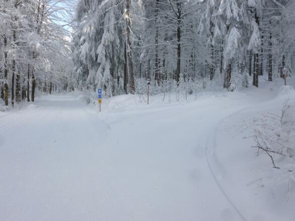 Abzweigung zu den Margaretenhängen