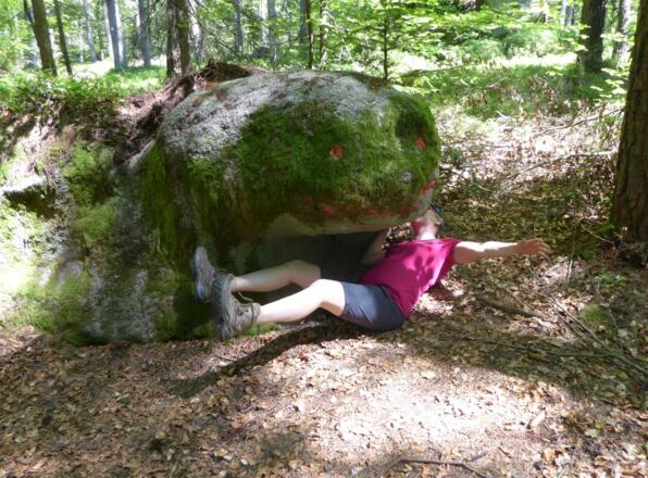 Achtung: Bissige Steine