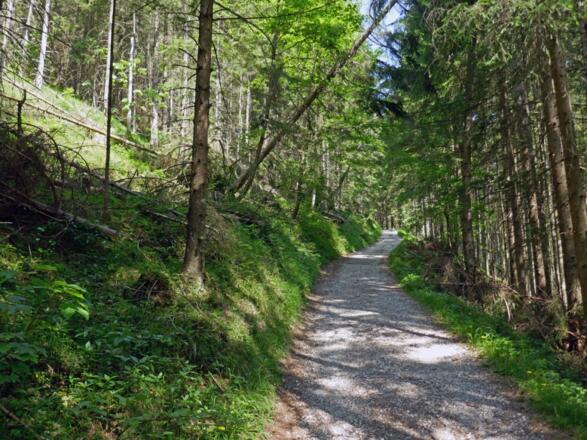 Auf dem Salzalpensteig