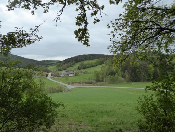 Blick auf Schweinsberg