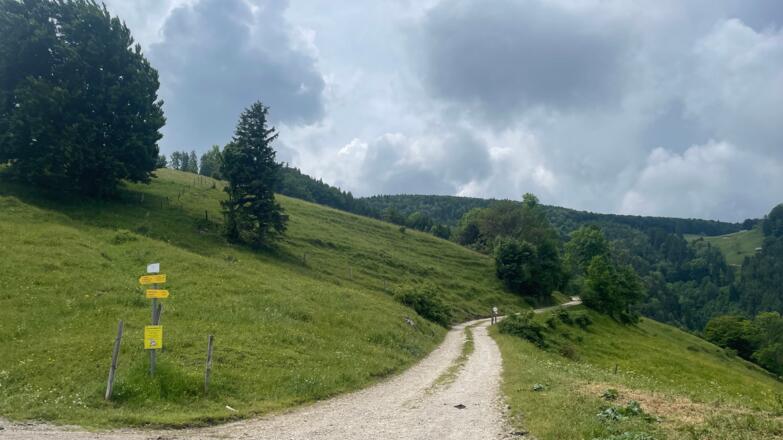 Bahnhof Ternberg - Herndleck Trail