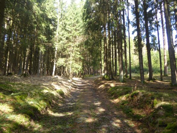 Aufstieg nach Münchszell