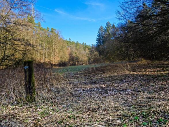 am Beginn des Thanngraben