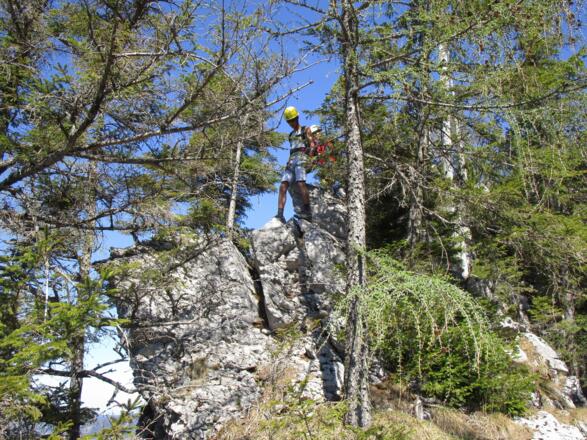 Der Grat ist oft zugewachsen.