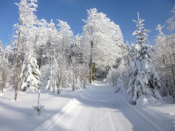 Anstieg auf den Margaretenhängen