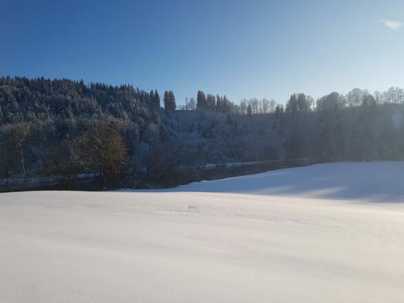 Illerparadies