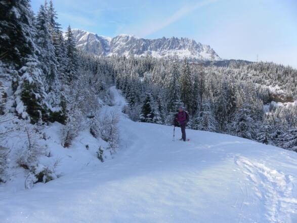 Hochkönig - Mandlwände