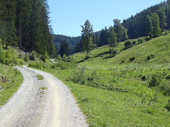 Imsterbergerwald