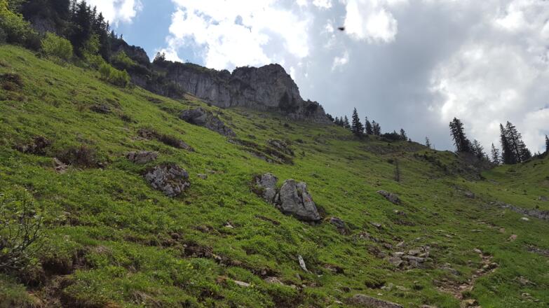 Der nordseitige Aufstieg zum Bodenschneid