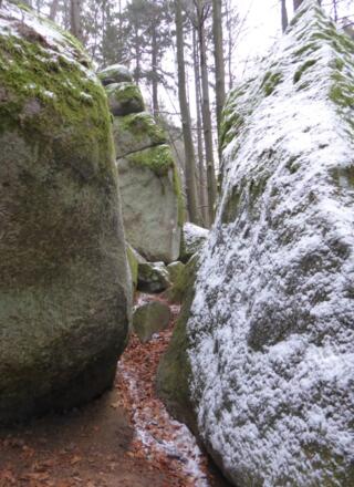 Höllbachtal - Naturschutzgebiet - da führt der Weg durch