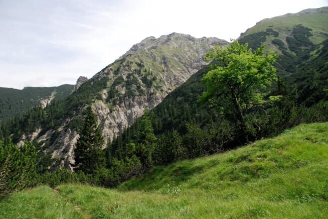 Kreuzspitze vom Sattel zwischen Kreuzspitzl und Geierkopf gesehen