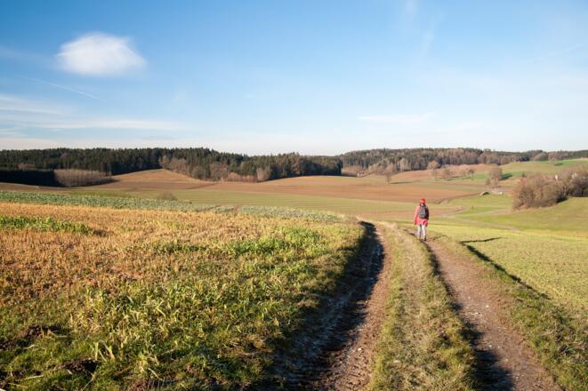 Stiller Streifzug durchs Hügelland