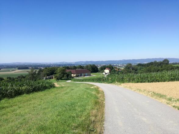 Zwischen Bauernhof und Haus stand die Burg Freudenstein