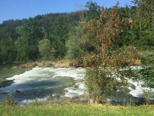 Mangfall