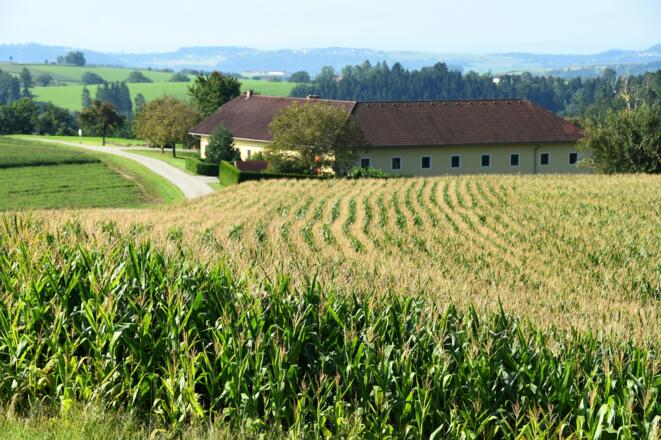 Bauernhof Gaisrucker