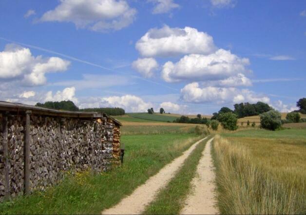 Naturlandschaft bei Vilseck