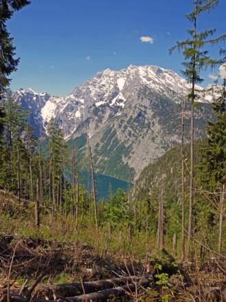 Blick auf den Königssee
