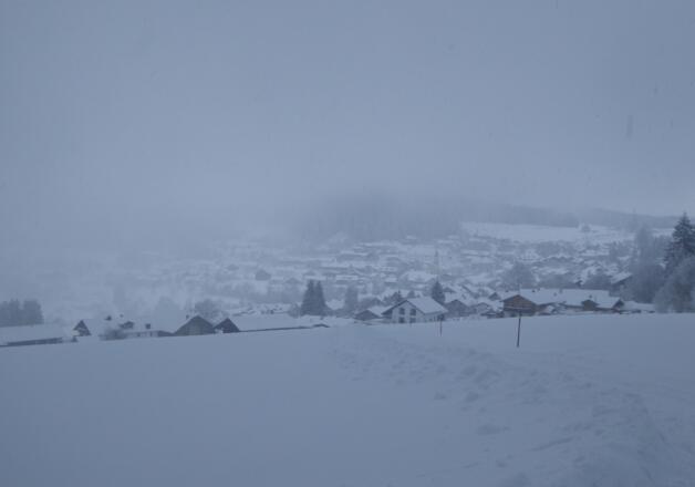 Blick auf St. Englmar