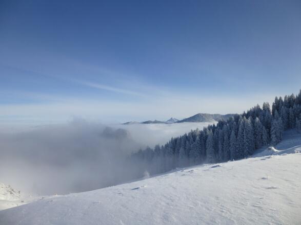 Erste Blick auf die Ammergauer Alpen - der Aggenstein