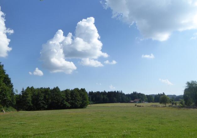 kurz vorm Schiederhof