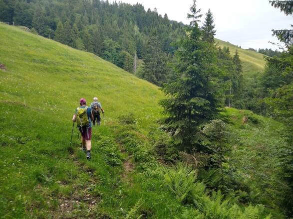 ...steile Wiese queren...