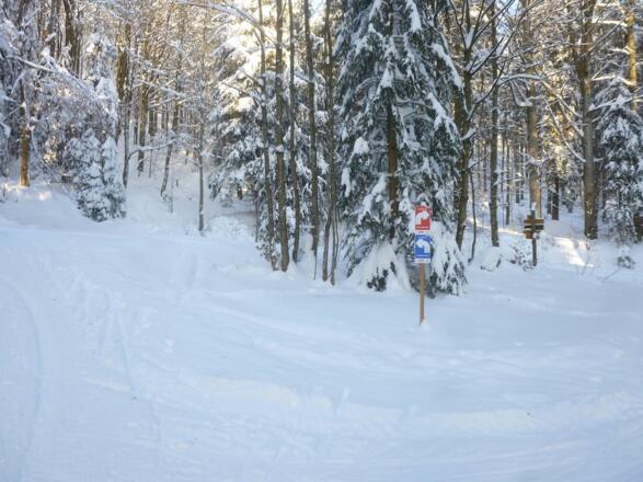 Trennung der Serpentinen- und Rauher-Kulm-Loipe; rechts beginnt die Rauher-Kulm-Loipe eigenständig;