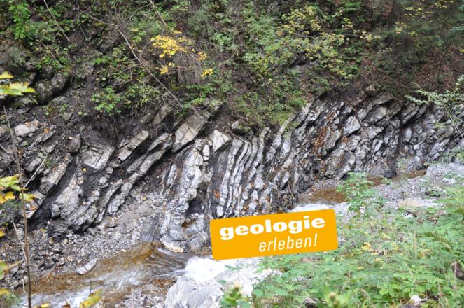 Flyschablagerungen der Tristel-Formation