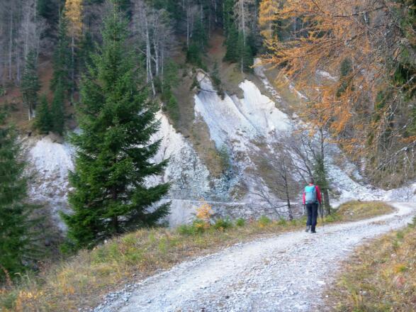 Blaserbachschlucht zur Feichtenalm