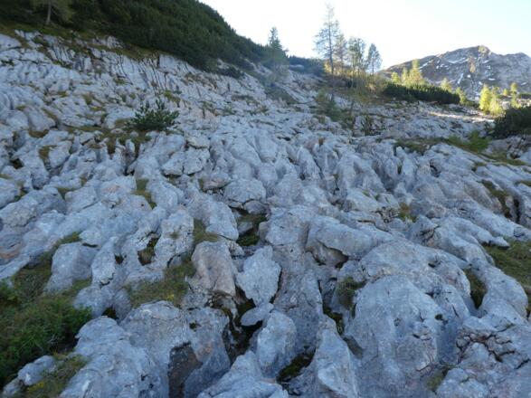 Trittsicherheit ist hilfreich