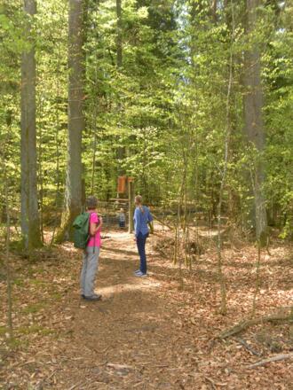 Drehkreuz zum Huckinger See