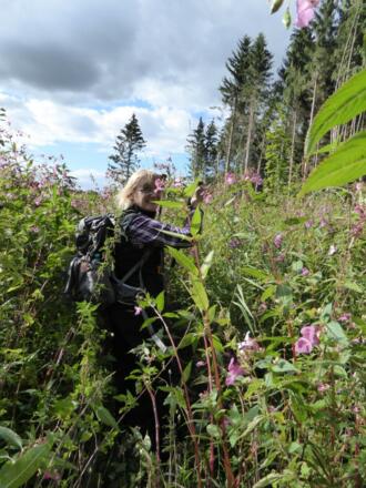 Indiana Jones - der Kampf auf den letzten Metern
