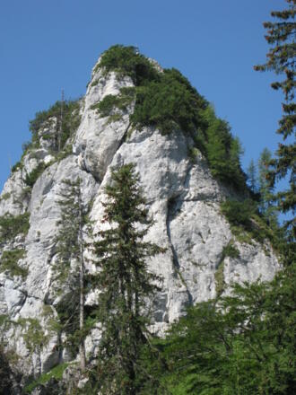 Kleiner Sparber