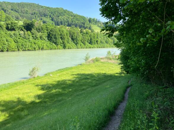 Dürnbachrunde